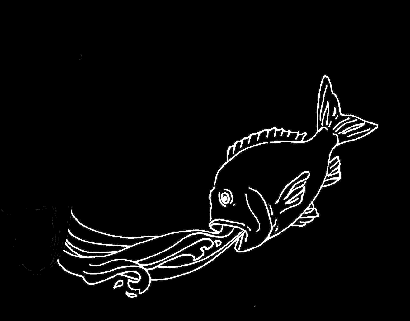Piscis Australis